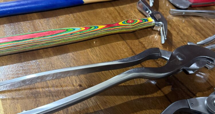 DETIKBABEL.COM (Jakarta) — Kezillaz dengan bangga mengumumkan peluncuran brand baru Merk HorseGuard, rangkaian peralatan kuda premium yang dirancang untuk memberikan keamanan optimal, kenyamanan maksimal, dan performa terbaik bagi kuda dalam berbagai kondisi, HorseGuard Selain memproduksi peralatan perawatan Kuku Kuda juga menghadirkan peralatan Medis/kedokteran utk Kuda. Rabu (9/12/2025).