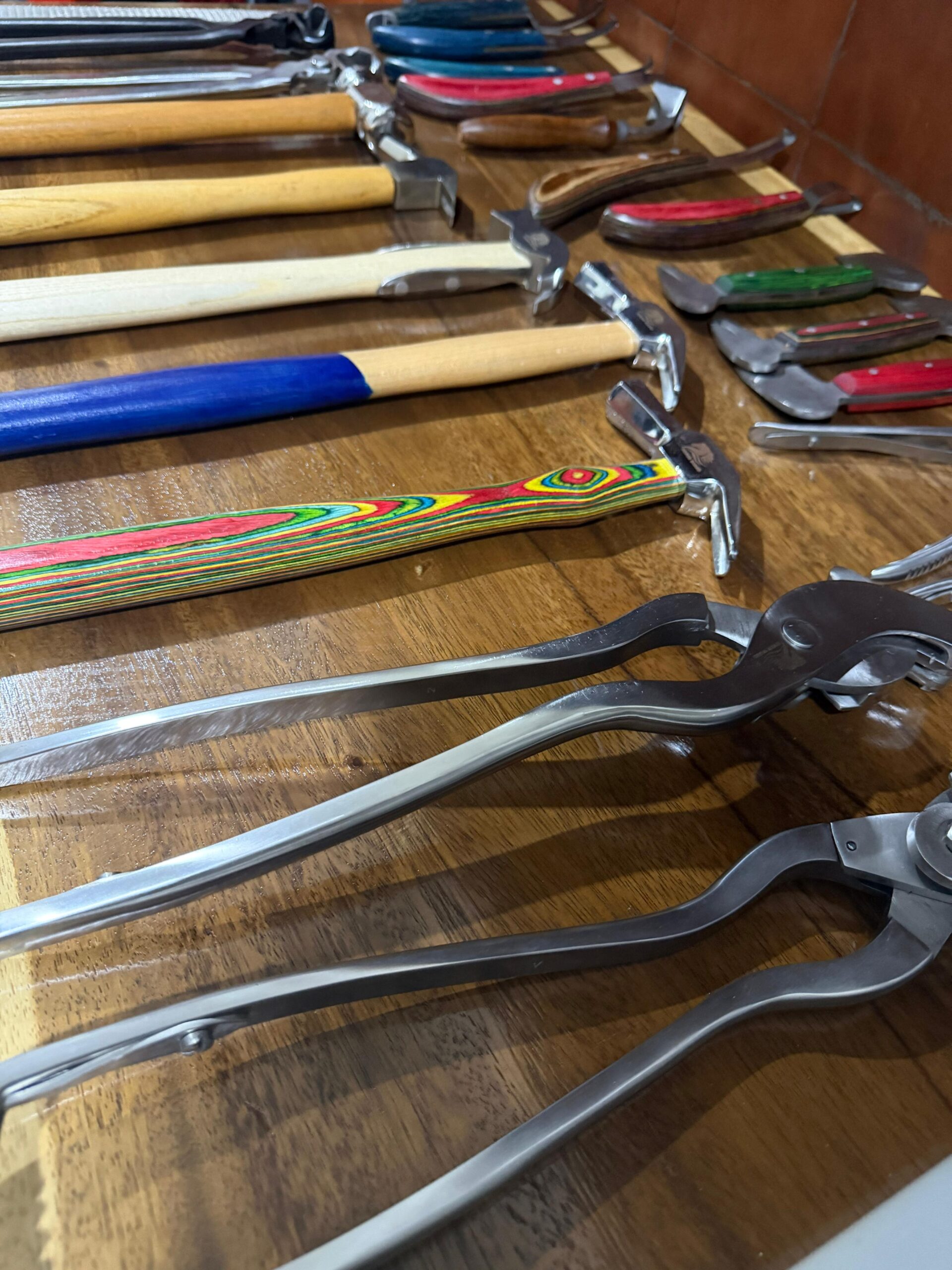 DETIKBABEL.COM (Jakarta) — Kezillaz dengan bangga mengumumkan peluncuran brand baru Merk HorseGuard, rangkaian peralatan kuda premium yang dirancang untuk memberikan keamanan optimal, kenyamanan maksimal, dan performa terbaik bagi kuda dalam berbagai kondisi, HorseGuard Selain memproduksi peralatan perawatan Kuku Kuda juga menghadirkan peralatan Medis/kedokteran utk Kuda. Rabu (9/12/2025).