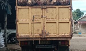 IMG-20260515-WA0006