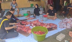 IMG-20260528-WA0019